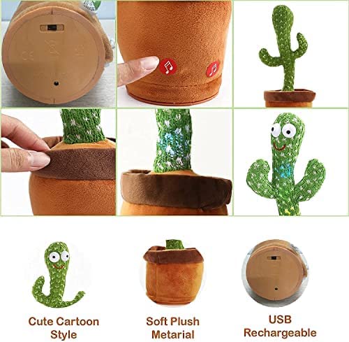 JOY JUNGLE Cactus