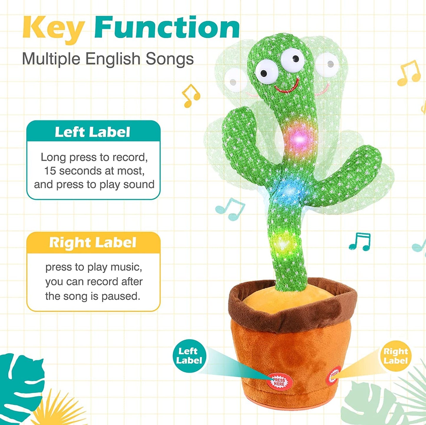 JOY JUNGLE Cactus